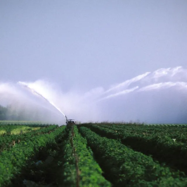 thumbnail for publication: Agricultural and Environmental Implications of Information-Driven Irrigation Scheduling: Insights from a Field-Scale Study with a Gravelly Loam Soil in South Florida